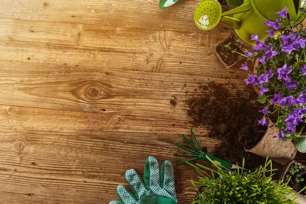 Herramientas de jardinería al aire libre y hierbas —  Fotos de Stock