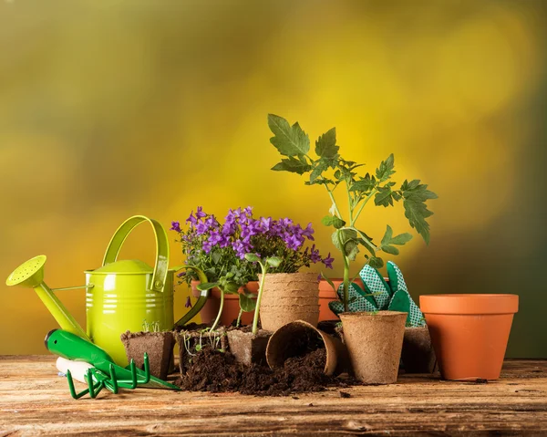 Herramientas de jardinería al aire libre y hierbas — Foto de Stock