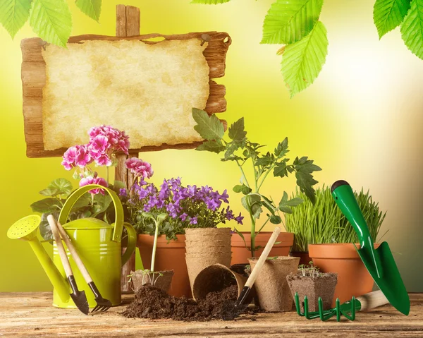 Outdoor gardening tools and herbs — Stock Photo, Image