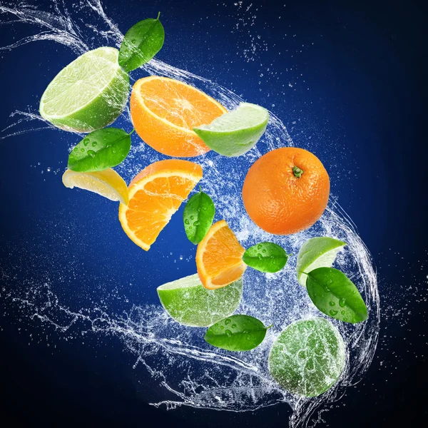 Fresh citruses with water splash — Stock Photo, Image