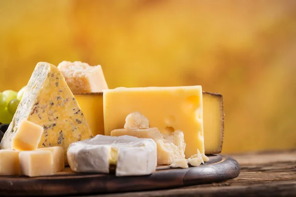 Tasty cheeses — Stock Photo, Image