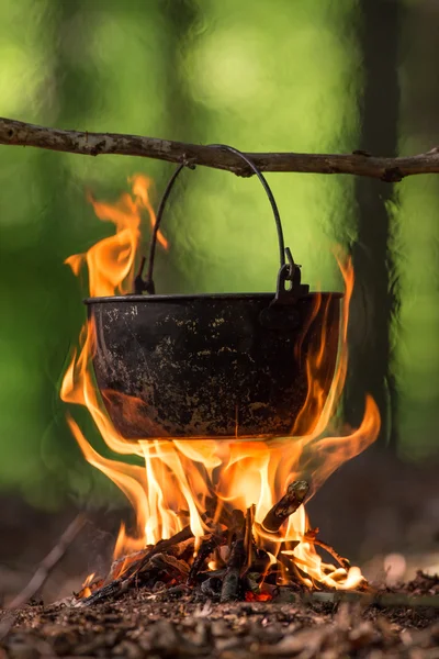 Campfire in spring forest.