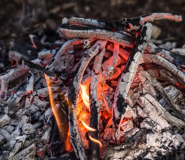 Campfire in spring forest. — Stock Photo, Image