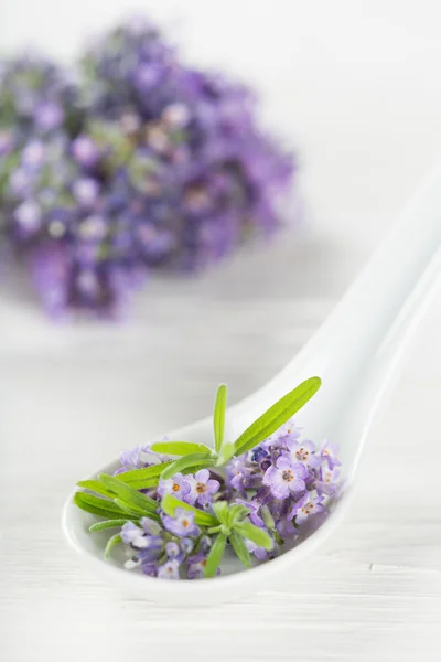 Flores de lavanda com óleo essencial — Fotografia de Stock