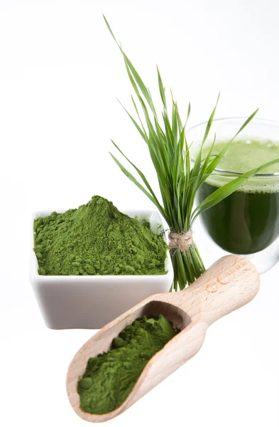 Young barley and chlorella spirulina. — Stock Photo, Image