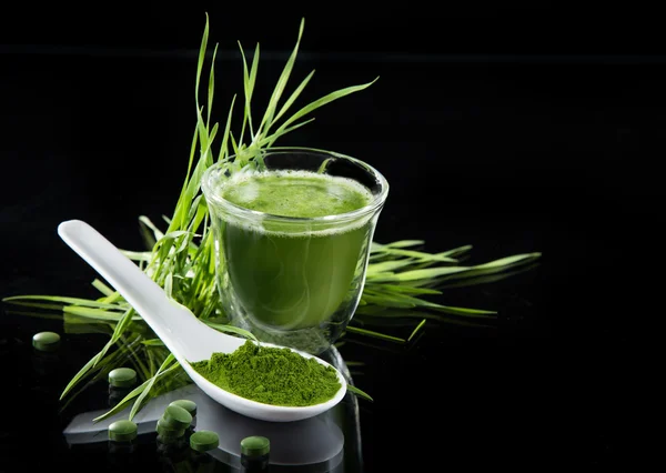 Young barley and chlorella spirulina. — Stock Photo, Image