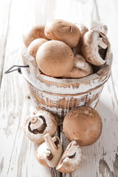 Čerstvé houby. — Stock fotografie