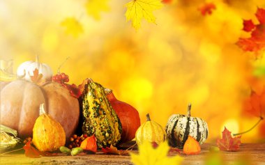 Sonbahar arka plan ile kabak, yakın çekim.