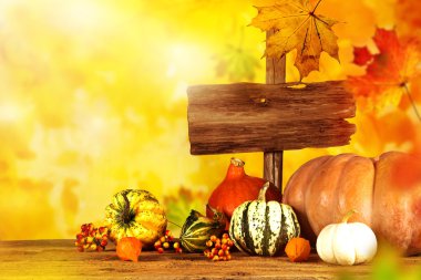 Sonbahar arka plan ile kabak, yakın çekim.