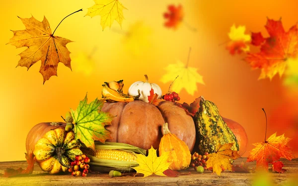 Herbst Hintergrund mit Kürbissen, Nahaufnahme. — Stockfoto