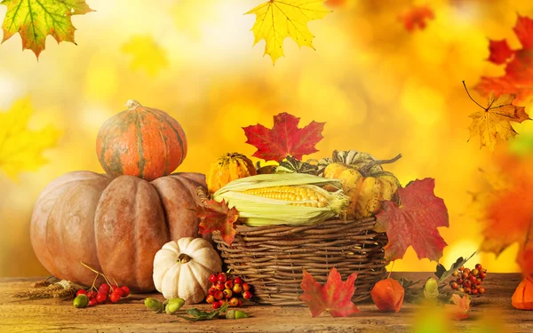 Autumn background with pumpkins, close up. — Stock Photo, Image