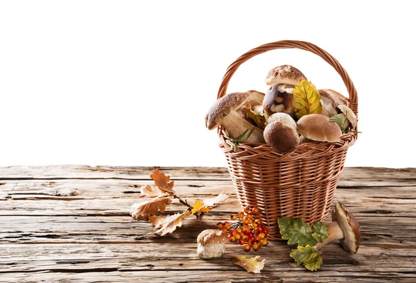 Cogumelos de boleto em uma cesta em fundo de madeira — Fotografia de Stock