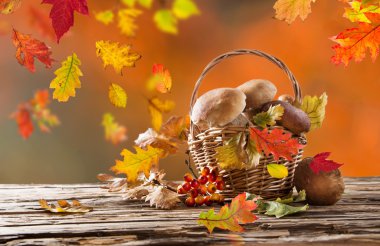 Ahşap arka plan üzerinde mantar çörek