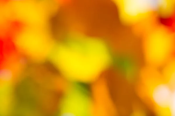Bunte herbstliche Hintergrund mit Blättern — Stockfoto