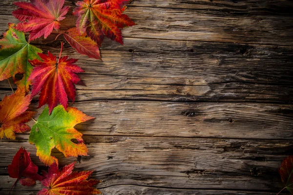 Colorato sfondo autunnale con foglie — Foto Stock