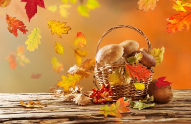 Ahşap arka plan üzerinde mantar çörek