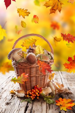 Ahşap arka plan üzerinde mantar çörek