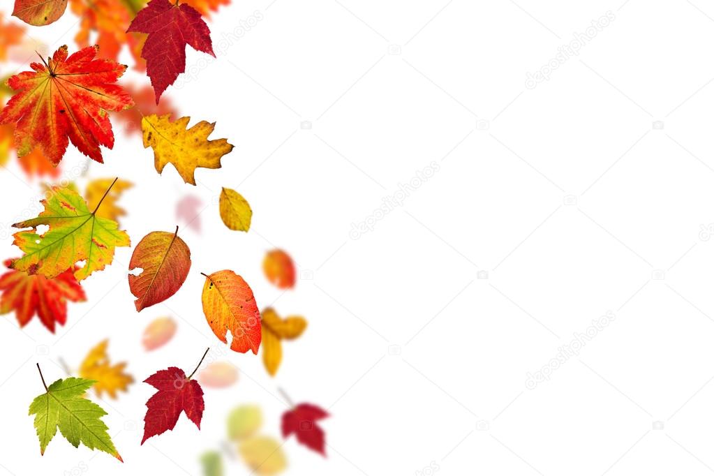 Colorful autumnal background with leaves