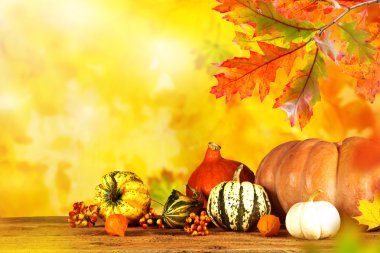 yaprakları ile renkli arka plan