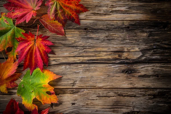 Colorato sfondo autunnale con foglie — Foto Stock