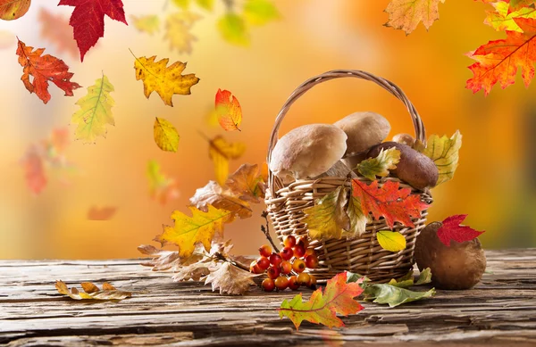 Boletus paddestoelen in een mand op houten achtergrond — Stockfoto