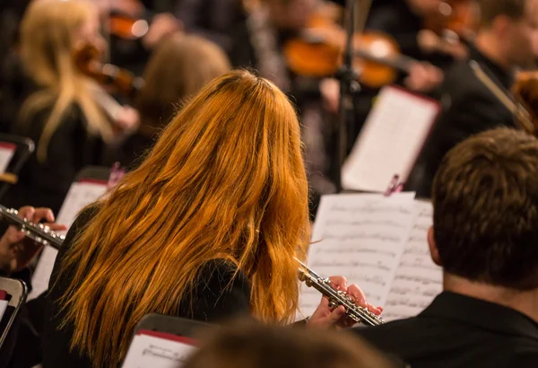 Symfoniorkester utför. — Stockfoto