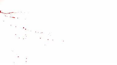 Süper Yavaş Çekimde Kan Sıçrıyor. Beyaz Arka plan 'da izole edilmiş. Soyut Leke Oluşturan Kan Damlacıklarının Yüksek Hızda Sinematik Çekimi