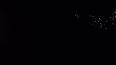 Gerçek Camı 1000 fps 'de Kırmanın Süper Yavaş Çekimi. Kara Arkaplanda İzole Edilmiş