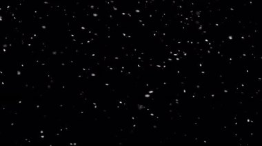 Siyah arka planda izole edilmiş doğal gerçek kar yağışı.