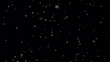 Siyah arka planda izole edilmiş doğal gerçek kar yağışı.