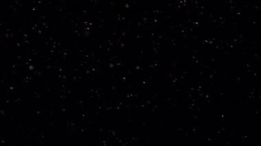 Siyah arka planda izole edilmiş doğal gerçek kar yağışı.