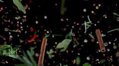 Taze Baharatlar ve Kara Arkaplanda Düşen Bitkiler. Süper Yavaş Hareket, Geniş Açı Görünümü.