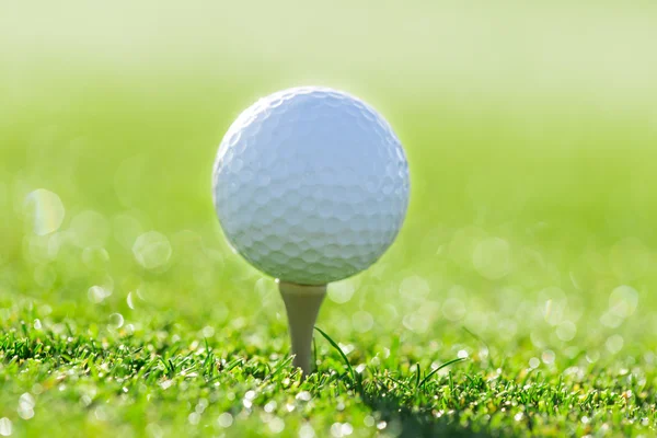 Närbild av golfboll. — Stockfoto