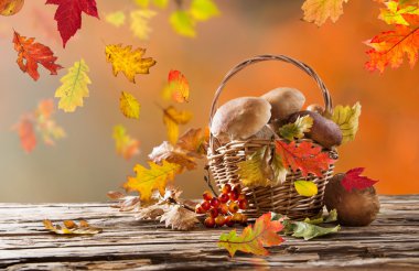 yaprakları ile renkli arka plan