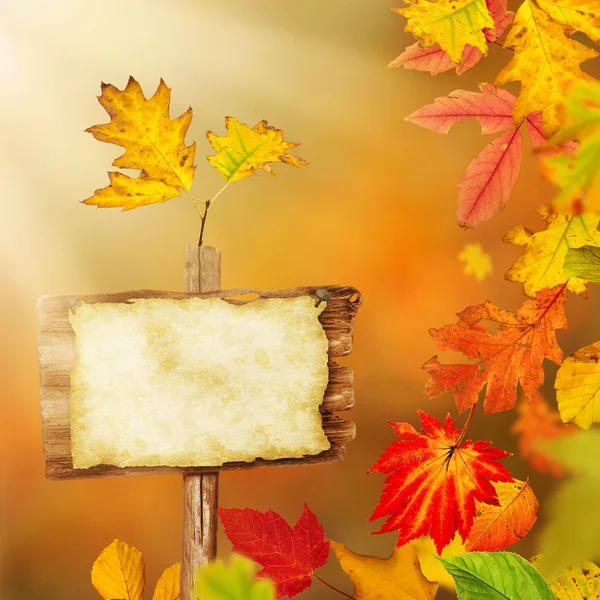 Colorful autumnal background with leaves — Stock Photo, Image