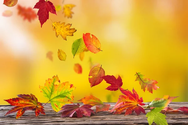 Bunte herbstliche Hintergrund mit Blättern — Stockfoto