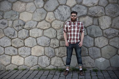 Yakışıklı büyük bıyık hipster.
