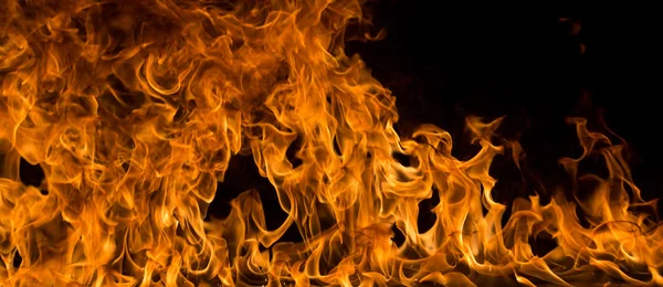 Fire flames on black background — Stock Photo, Image