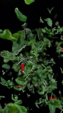 Taze Baharatlar ve Kara Arkaplanda Düşen Bitkiler. Süper Yavaş Hareket, Geniş Açı Görünümü.