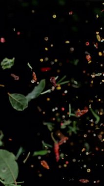 Taze Baharatlar ve Kara Arkaplanda Düşen Bitkiler. Süper Yavaş Hareket, Geniş Açı Görünümü.