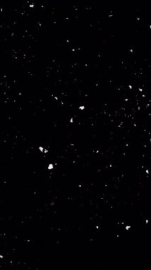 Siyah arka planda izole edilmiş doğal gerçek kar yağışı.