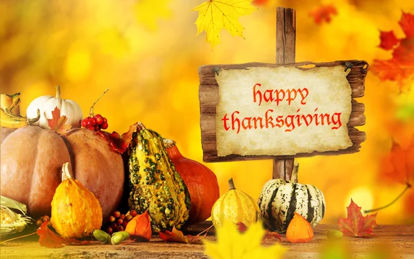 Happy Thanksgiving day — Stock Photo, Image