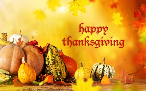 Happy thanksgiving day — Stockfoto