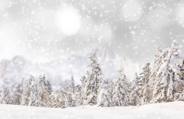 Dekorative Weihnachten Hintergrund. — Stockfoto