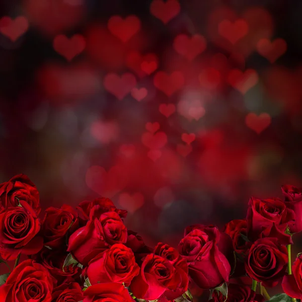 Červené růže, Valentine pozadí. — Stock fotografie