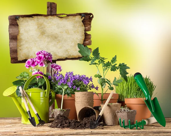 Gardening tools and flowers on wooden background — Stock Photo, Image