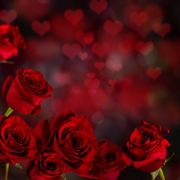 Valentine rode rozen achtergrond. — Stockfoto