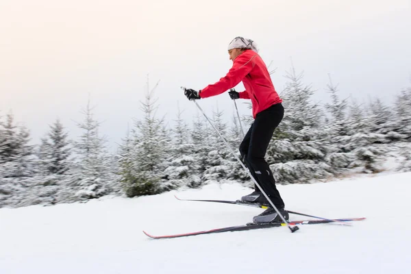 Esqui cross-country. Desporto de Inverno . — Fotografia de Stock