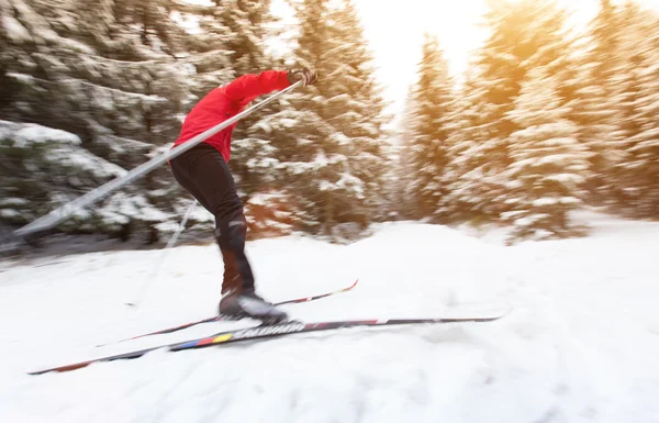 Cross-country skiing. Winter sport.