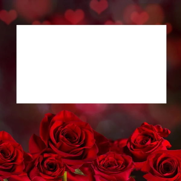 Valentine red rose abstract background. — Stock Photo, Image